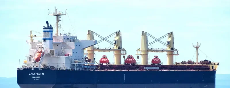 CALYPSO N Bulk Carrier IMO 9711444 photo 4