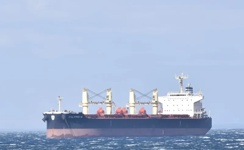 CALYPSO N Bulk Carrier IMO 9711444 photo 5