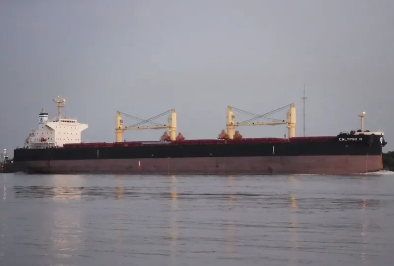 CALYPSO N Bulk Carrier IMO 9711444 photo 6