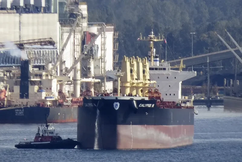 CALYPSO N Bulk Carrier IMO 9711444 photo 7