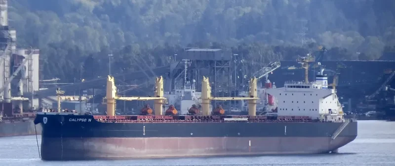 CALYPSO N Bulk Carrier IMO 9711444 photo 8