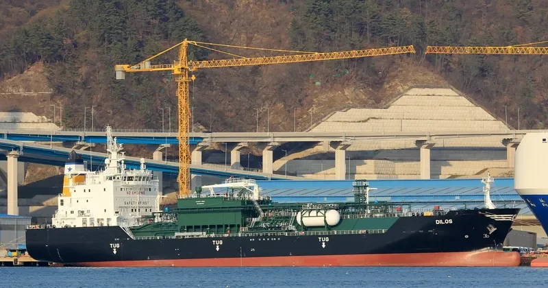 DILOS General Cargo IMO 9711535