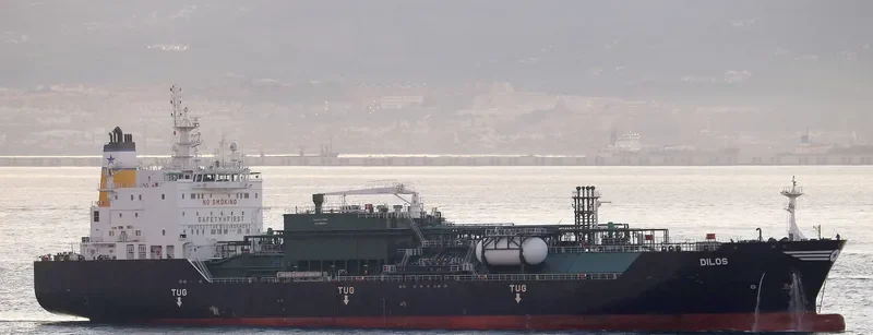DILOS General Cargo IMO 9711535 photo 3