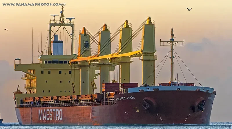 MAESTRO PEARL Bulk Carrier IMO 9711717
