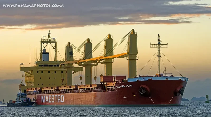 MAESTRO PEARL Bulk Carrier IMO 9711717 photo 2