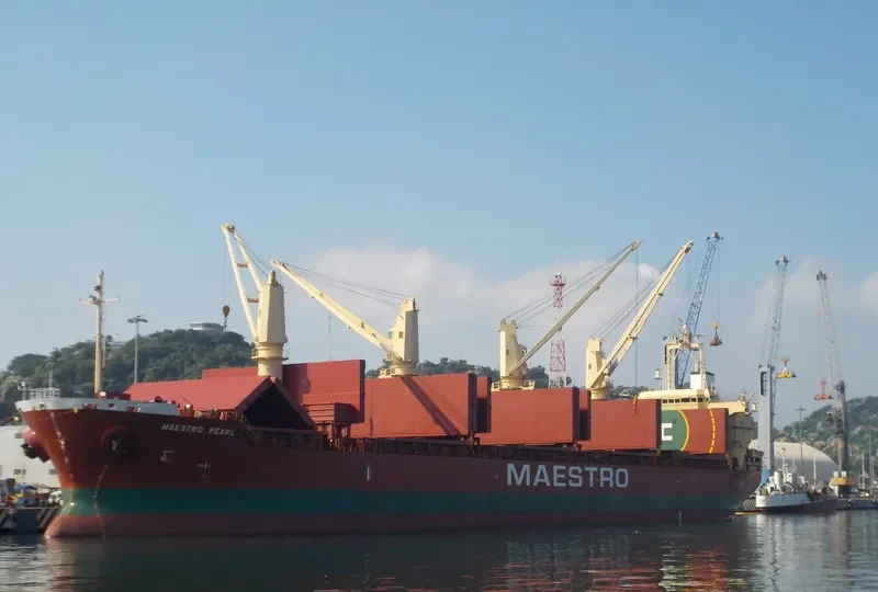 MAESTRO PEARL Bulk Carrier IMO 9711717 photo 3