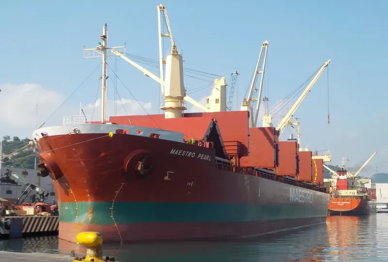 MAESTRO PEARL Bulk Carrier IMO 9711717 photo 4