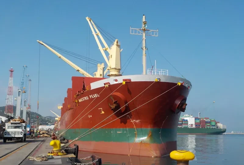 MAESTRO PEARL Bulk Carrier IMO 9711717 photo 5