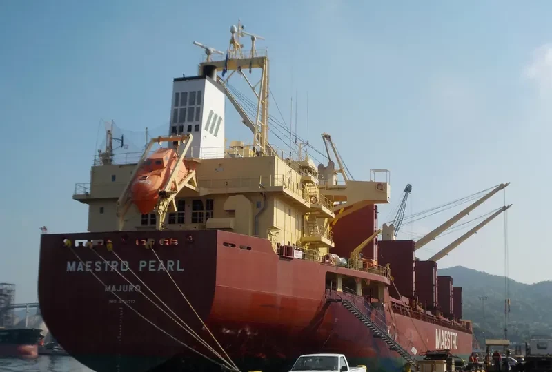 MAESTRO PEARL Bulk Carrier IMO 9711717 photo 6