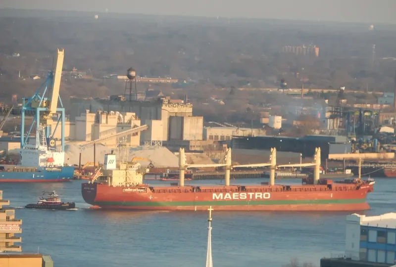 MAESTRO PEARL Bulk Carrier IMO 9711717 photo 8
