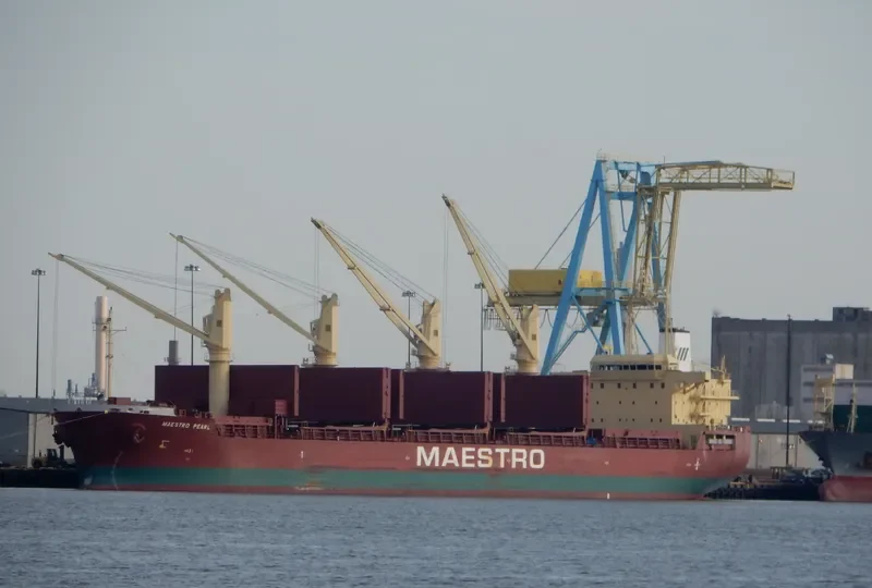 MAESTRO PEARL Bulk Carrier IMO 9711717 photo 9
