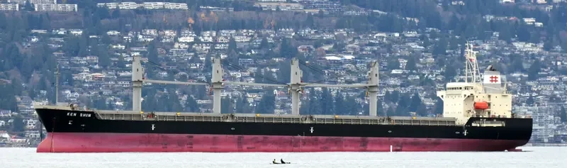 KEN SHIN Bulk Carrier IMO 9711729