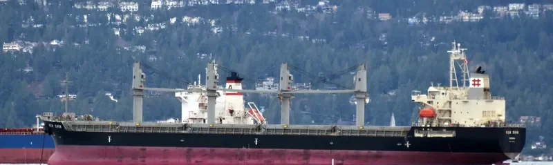 KEN SHIN Bulk Carrier IMO 9711729 photo 2