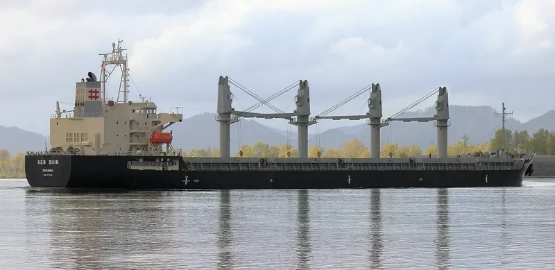 KEN SHIN Bulk Carrier IMO 9711729 photo 4