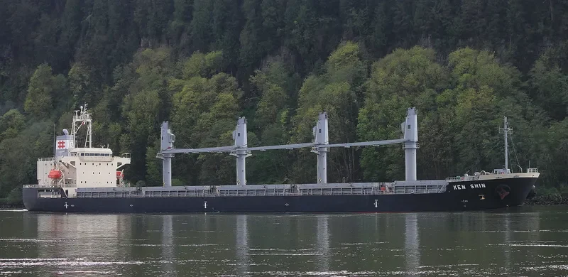 KEN SHIN Bulk Carrier IMO 9711729 photo 5