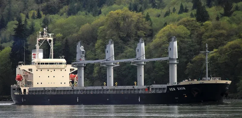 KEN SHIN Bulk Carrier IMO 9711729 photo 6