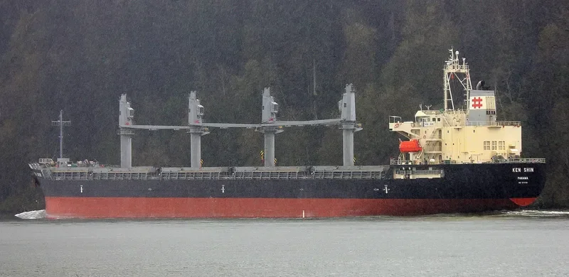 KEN SHIN Bulk Carrier IMO 9711729 photo 7