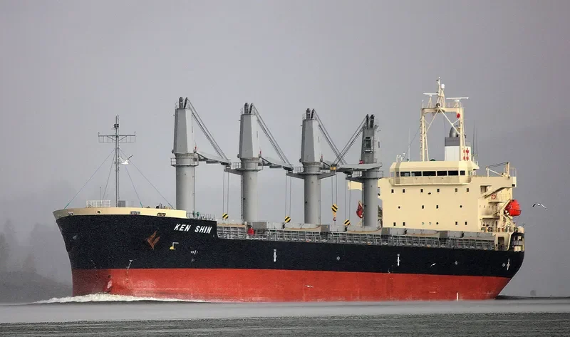 KEN SHIN Bulk Carrier IMO 9711729 photo 8