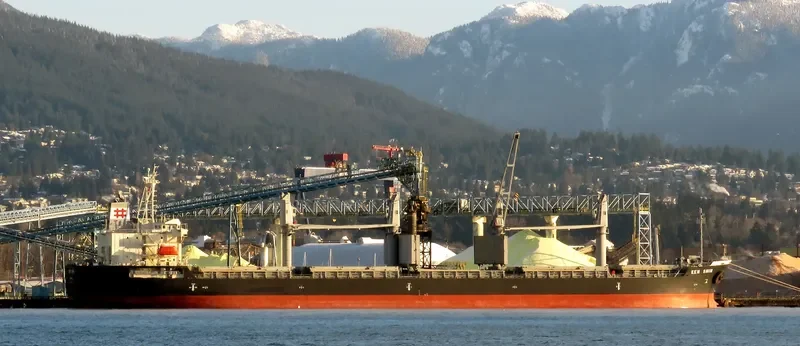 KEN SHIN Bulk Carrier IMO 9711729 photo 9
