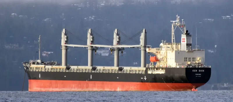 KEN SHIN Bulk Carrier IMO 9711729 photo 10