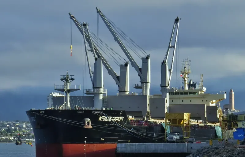 INTERLINK CAPACITY Bulk Carrier IMO 9711731