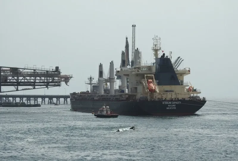 INTERLINK CAPACITY Bulk Carrier IMO 9711731 photo 2