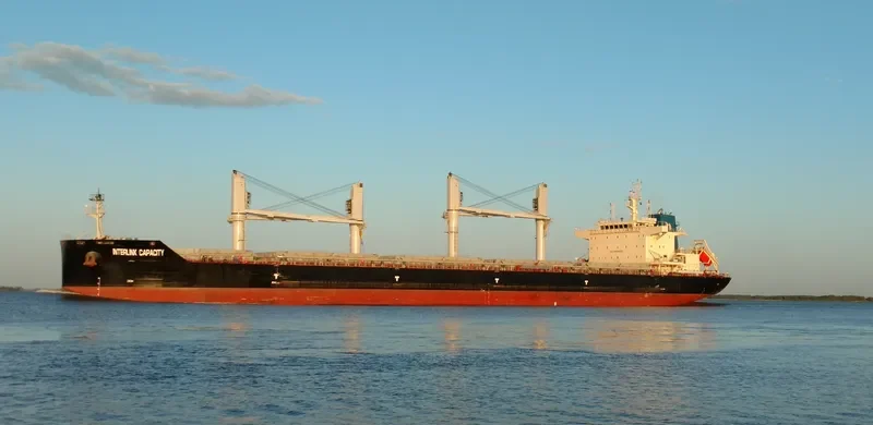 INTERLINK CAPACITY Bulk Carrier IMO 9711731 photo 4