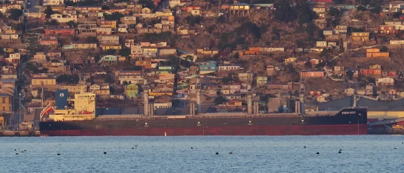 INTERLINK FORTUITY Bulk Carrier IMO 9711755 photo 2