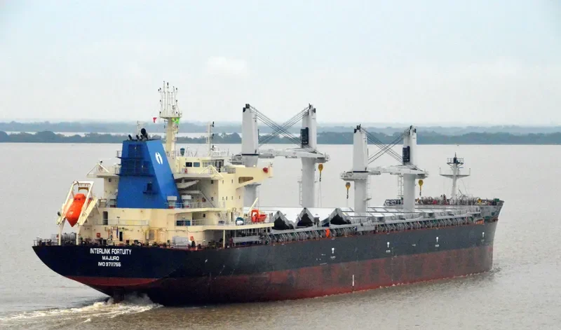 INTERLINK FORTUITY Bulk Carrier IMO 9711755 photo 4