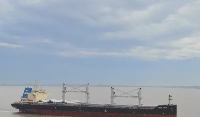 INTERLINK FORTUITY Bulk Carrier IMO 9711755 photo 6