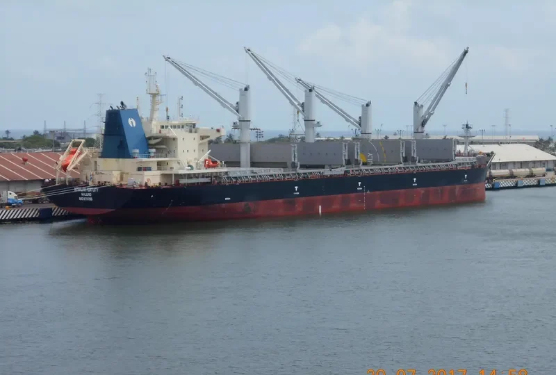 INTERLINK FORTUITY Bulk Carrier IMO 9711755 photo 9