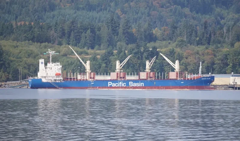 SHIKOKU ISLAND Bulk Carrier IMO 9711901 photo 2