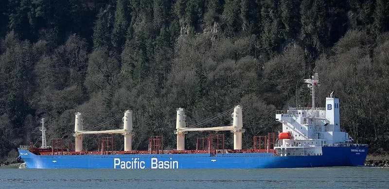 SHIKOKU ISLAND Bulk Carrier IMO 9711901 photo 5