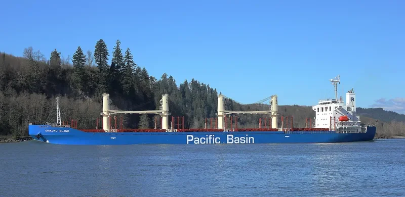 SHIKOKU ISLAND Bulk Carrier IMO 9711901 photo 6