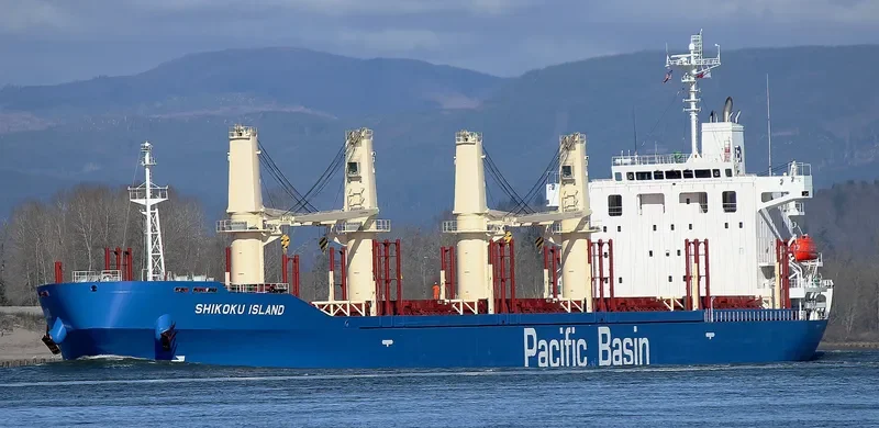 SHIKOKU ISLAND Bulk Carrier IMO 9711901 photo 7