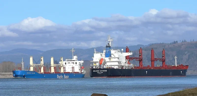 SHIKOKU ISLAND Bulk Carrier IMO 9711901 photo 8