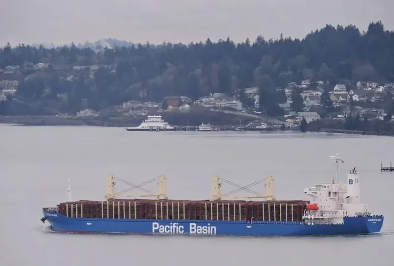 SHIKOKU ISLAND Bulk Carrier IMO 9711901 photo 9