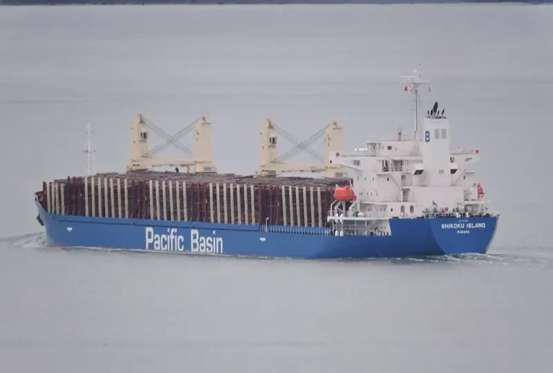 SHIKOKU ISLAND Bulk Carrier IMO 9711901 photo 10