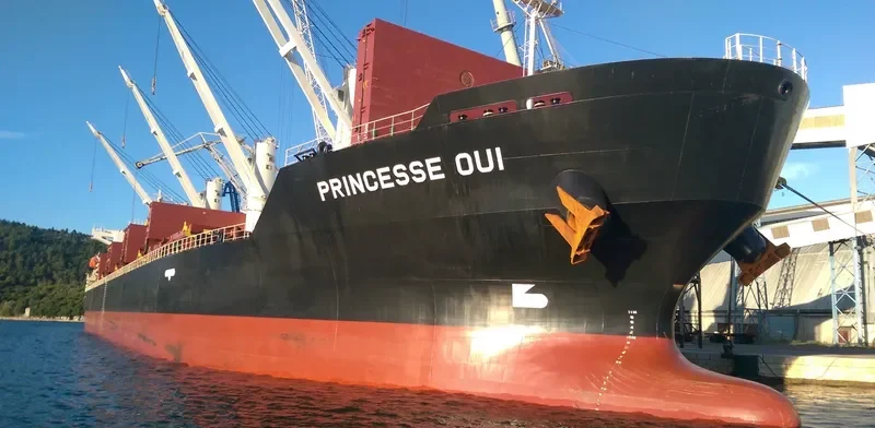PRINCESSE OUI General Cargo IMO 9711913 photo 4