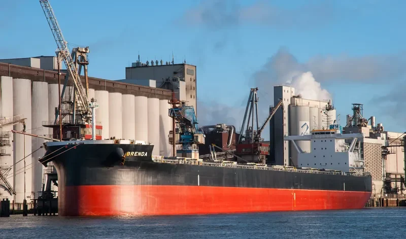 BRENDA Bulk Carrier IMO 9711925