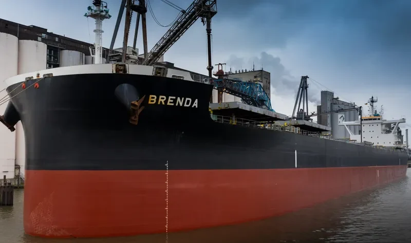 BRENDA Bulk Carrier IMO 9711925 photo 2