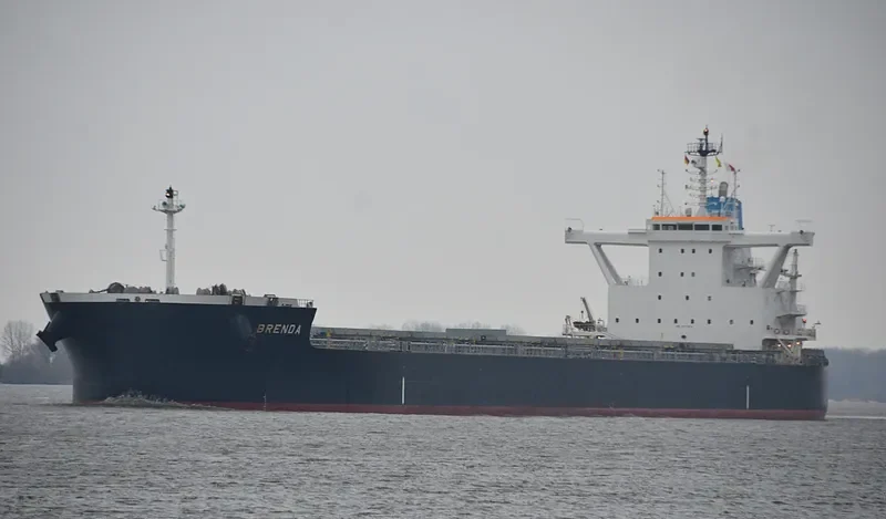 BRENDA Bulk Carrier IMO 9711925 photo 3