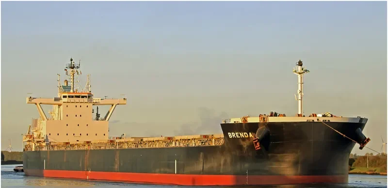 BRENDA Bulk Carrier IMO 9711925 photo 5