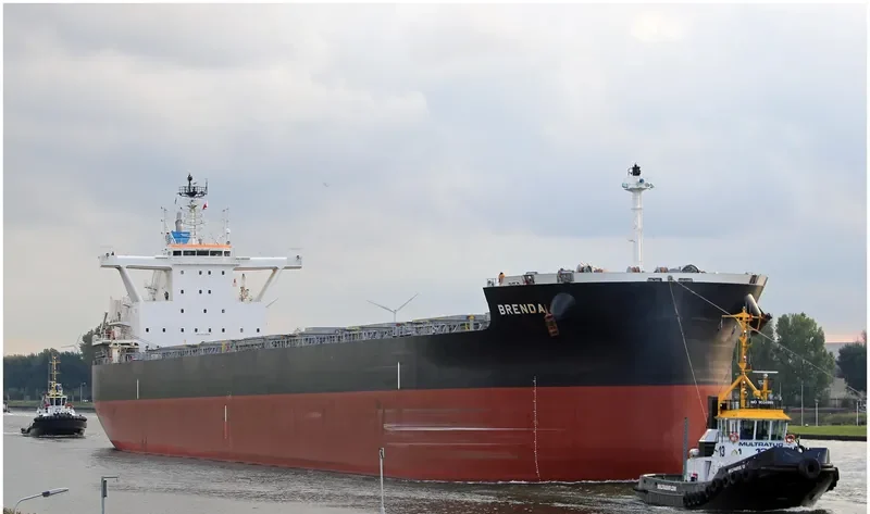 BRENDA Bulk Carrier IMO 9711925 photo 7
