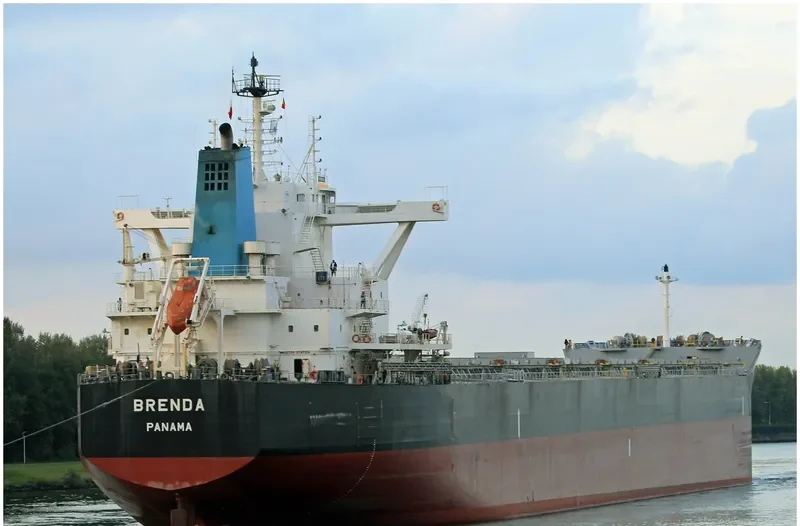 BRENDA Bulk Carrier IMO 9711925 photo 8