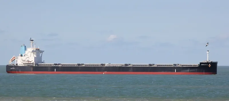BRENDA Bulk Carrier IMO 9711925 photo 10