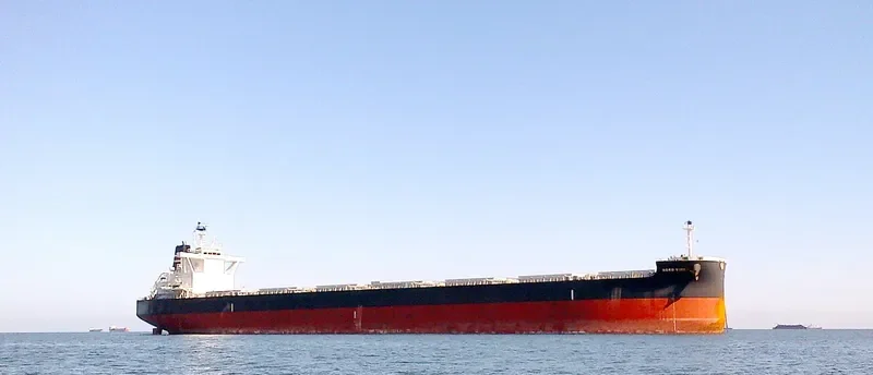 NORD VIRGO Bulk Carrier IMO 9711937 photo 9