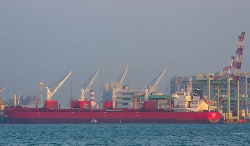 SBI PERSEUS Bulk Carrier IMO 9712151