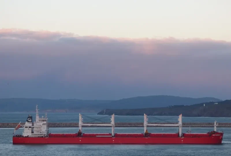 SBI PERSEUS Bulk Carrier IMO 9712151 photo 2