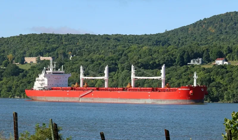 SBI PERSEUS Bulk Carrier IMO 9712151 photo 8